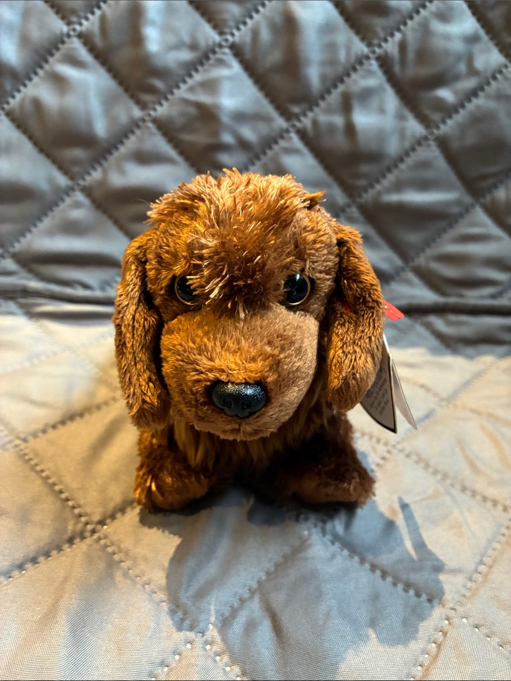 2001 Seadog Beanie Baby